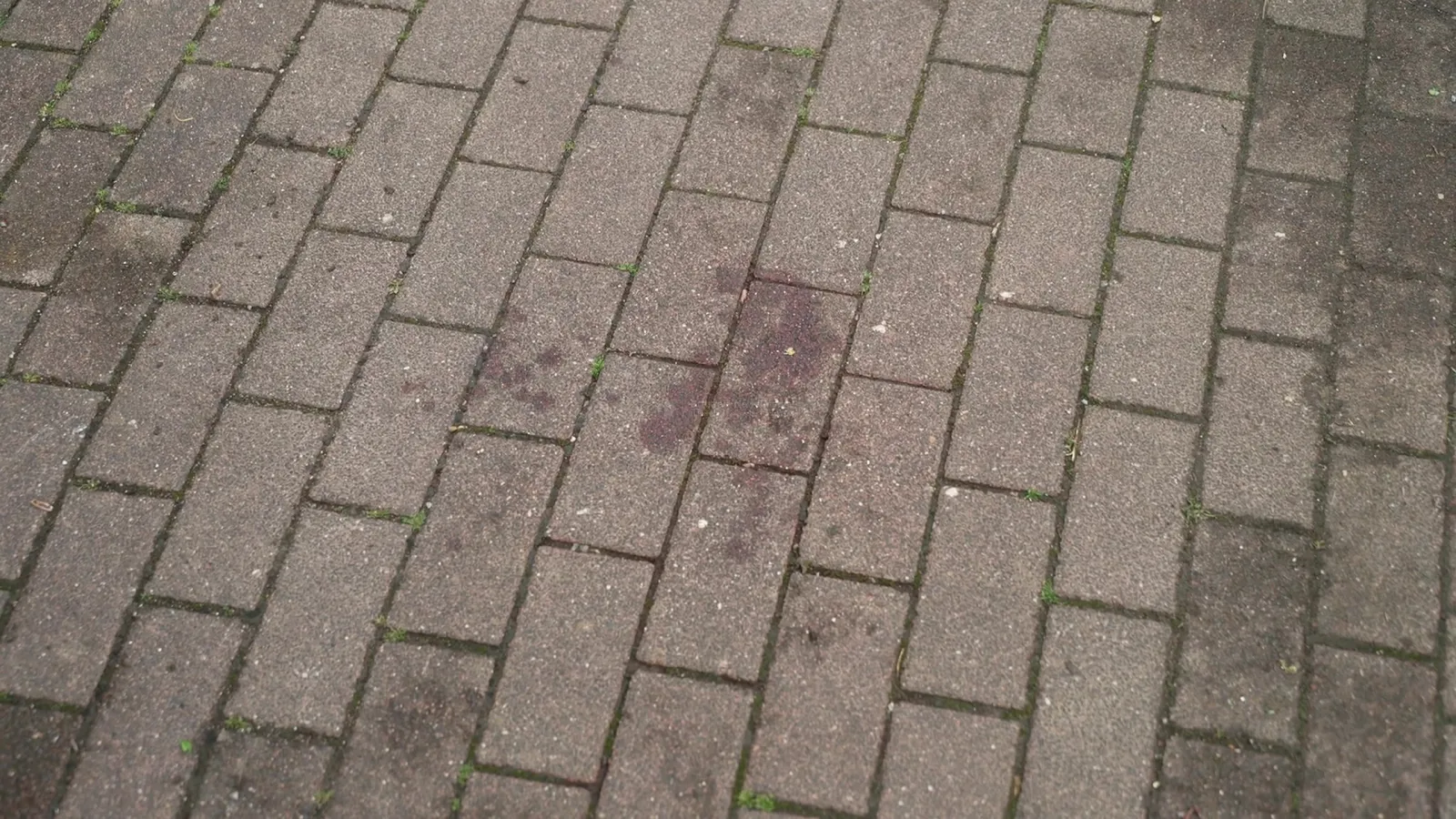 Blutspuren auf Pflastersteinen im Stadtpark Pulheim