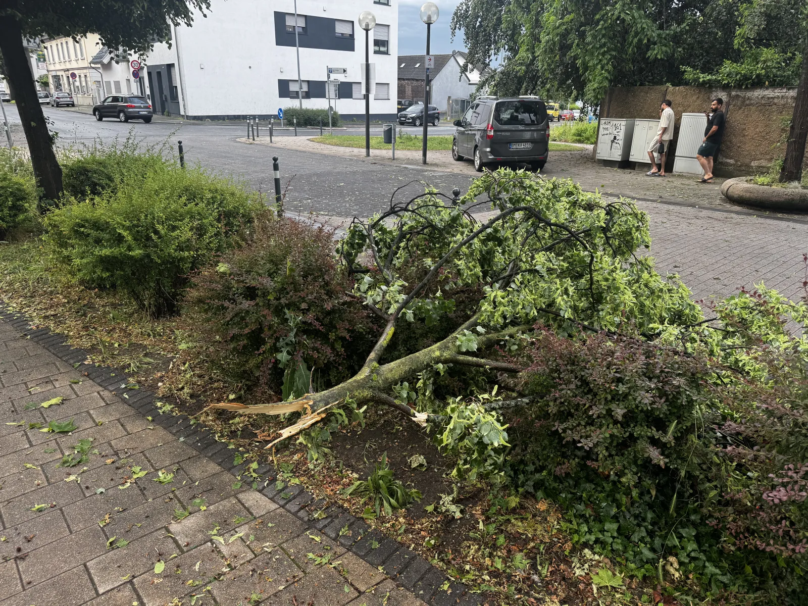 Abgebrochener Ast liegt auf Gehweg nach Unwetter