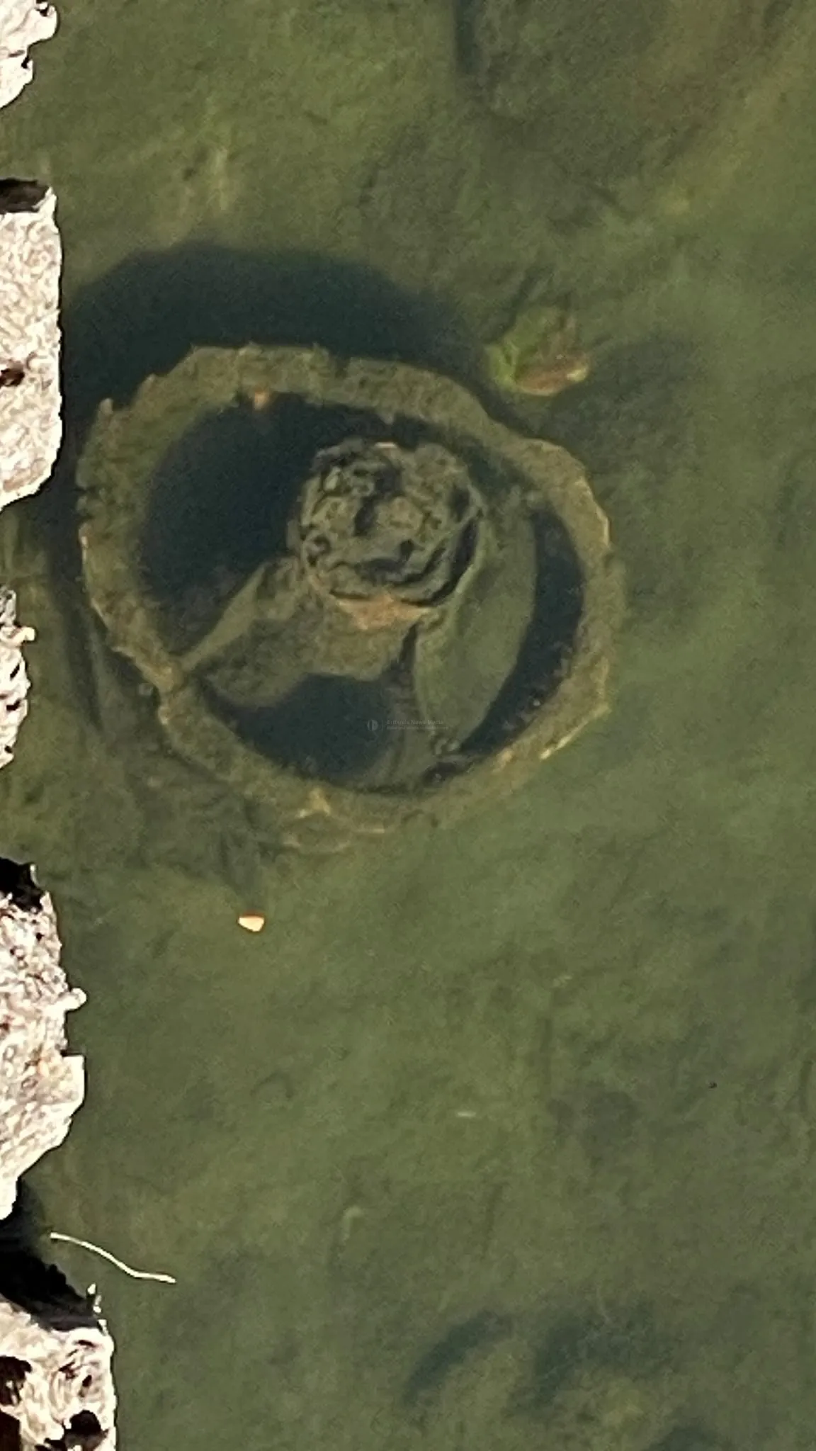 Turbinenfund im Wasser am Rheinufer Köln