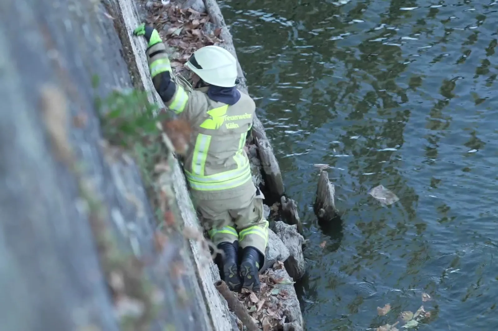 Feuerwehrmann am Rheinufer in Köln bei Einsatz